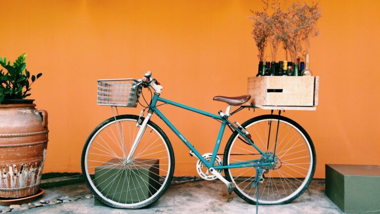 Een vintage-stijl blauwe fiets met een bruin zadel staat geparkeerd tegen een oranje muur. Er zit een mandje vooraan en een houten krat achterop met flessen en gedroogde planten. Een grote terracotta plantenbak met groen staat links.