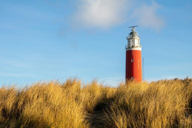 Een rode vuurtoren met een witte top staat achter een veld met hoog, goudkleurig gras onder een blauwe lucht met een paar wolken. Texel